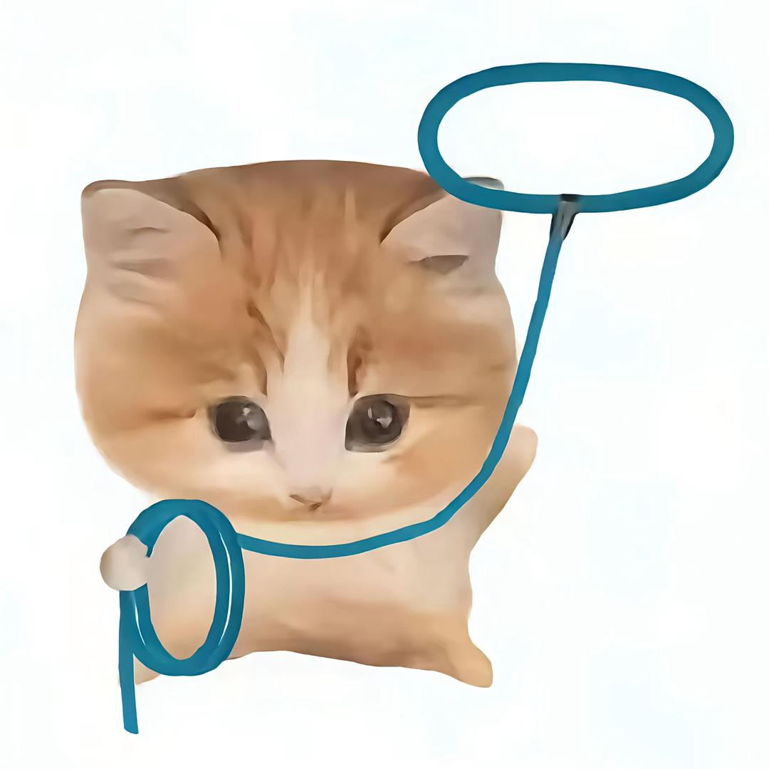 小雨