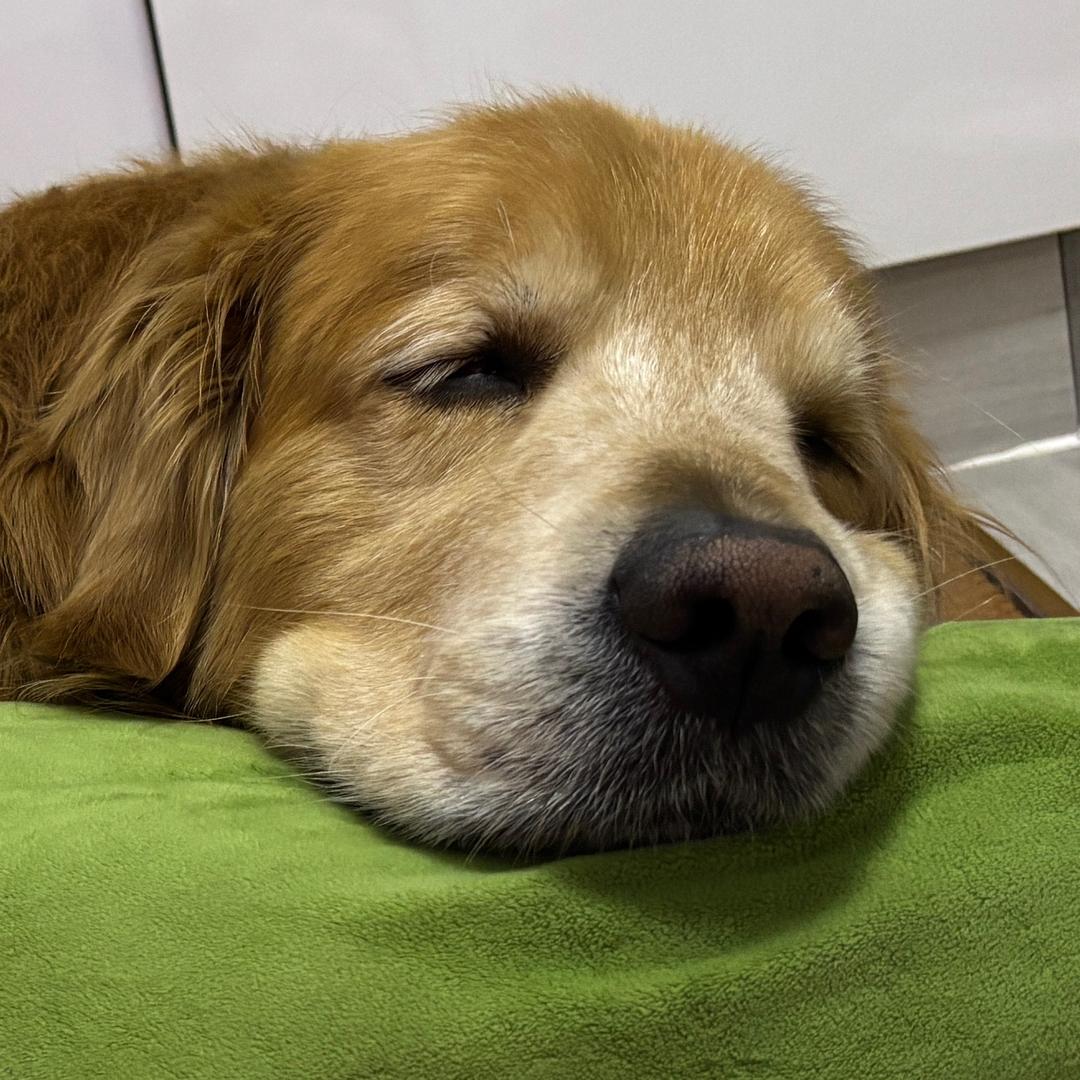 ¹周困⁸天的⁺⁹⁹⁹