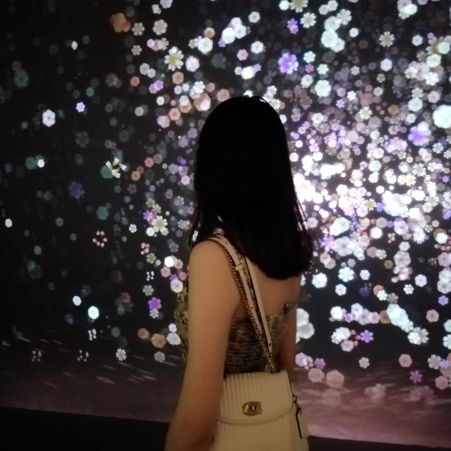 小郑亮晶晶✨