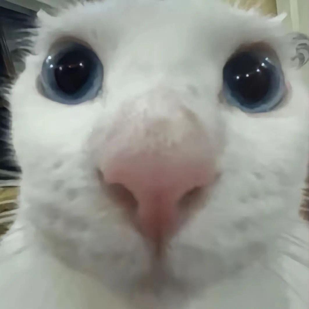 睡觉
