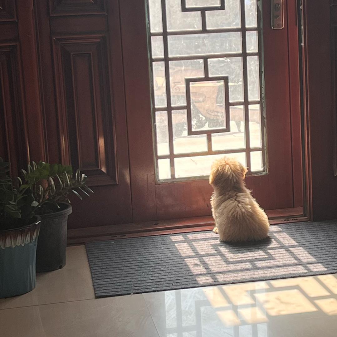 巴啦啦搞笑女