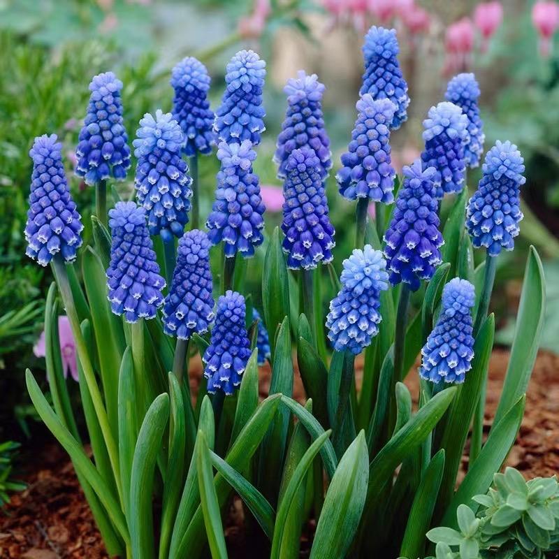 风尚生活优品店qDd