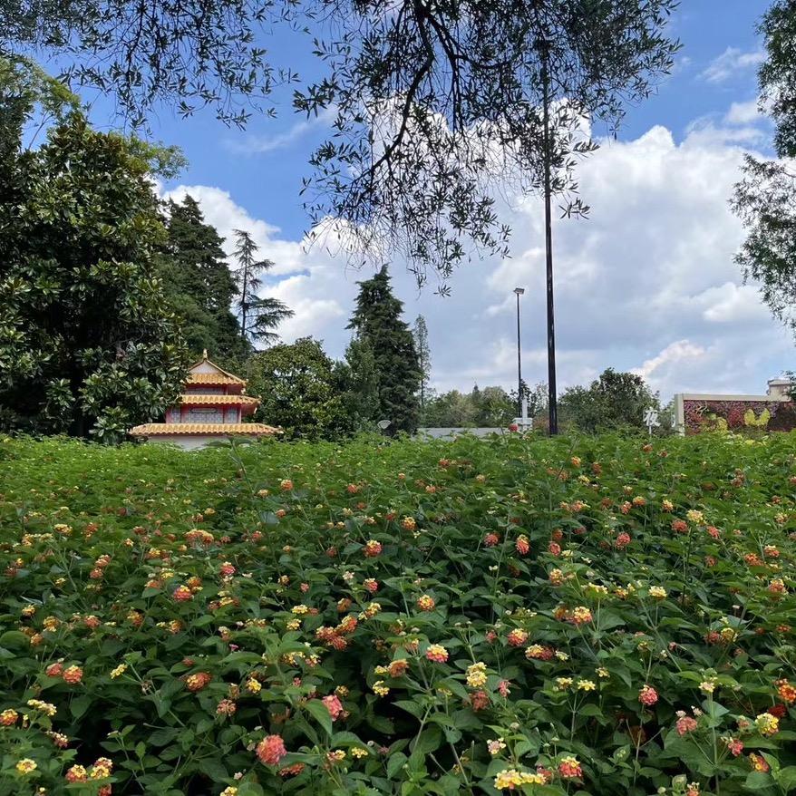 ღ᭄💞余生ོএ安好ღ᭄ 💞