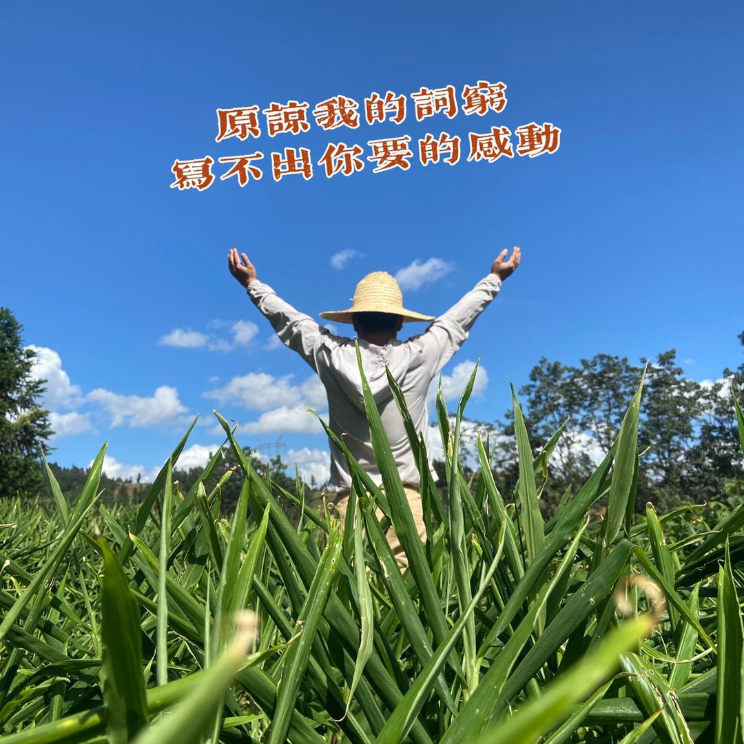 封俊农院