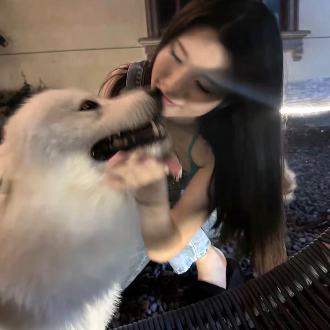 i：雪芬