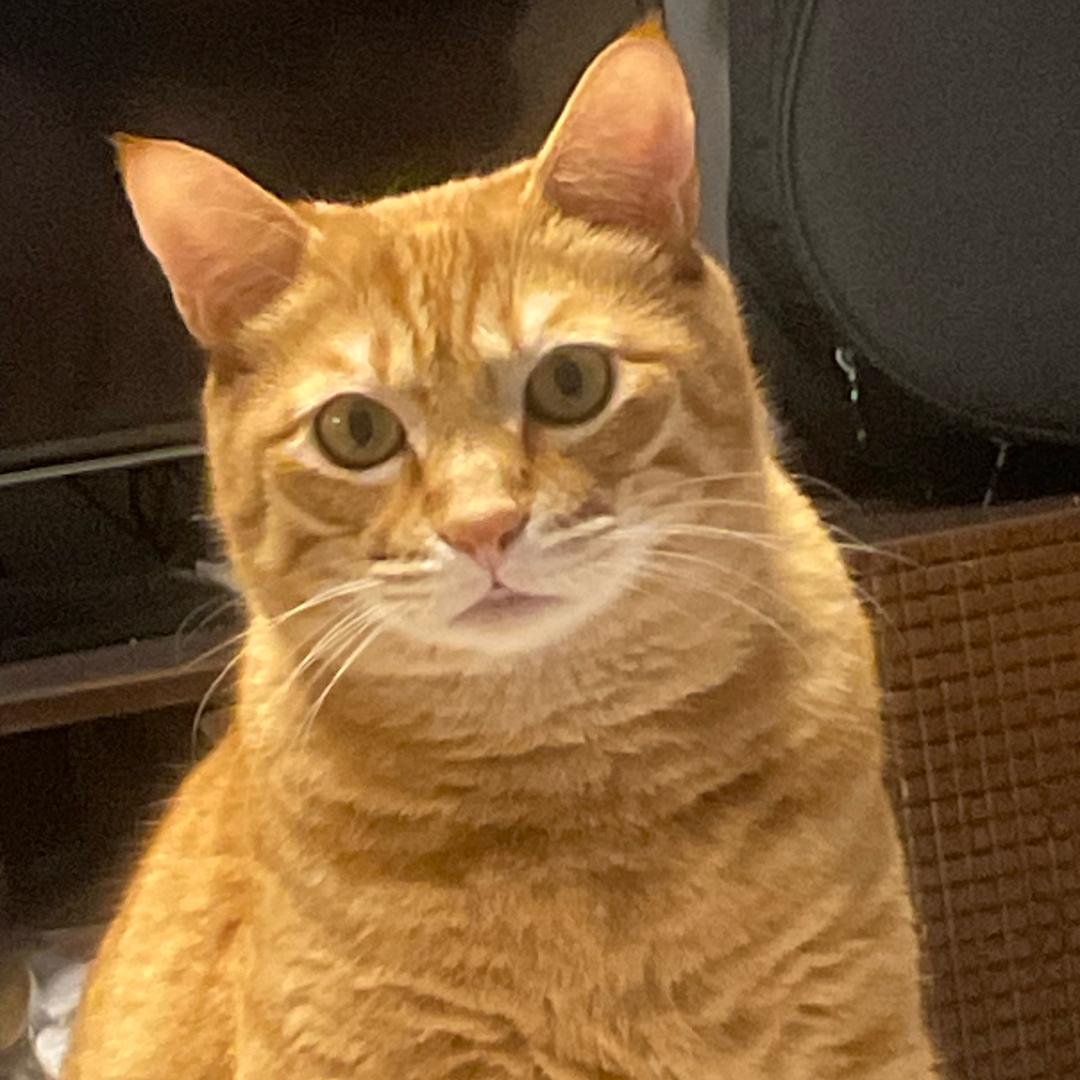 斑斑