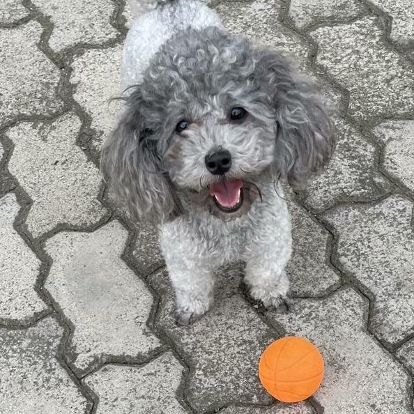 走过的美好