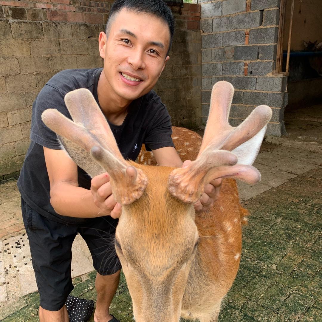 福鹿多多养殖场