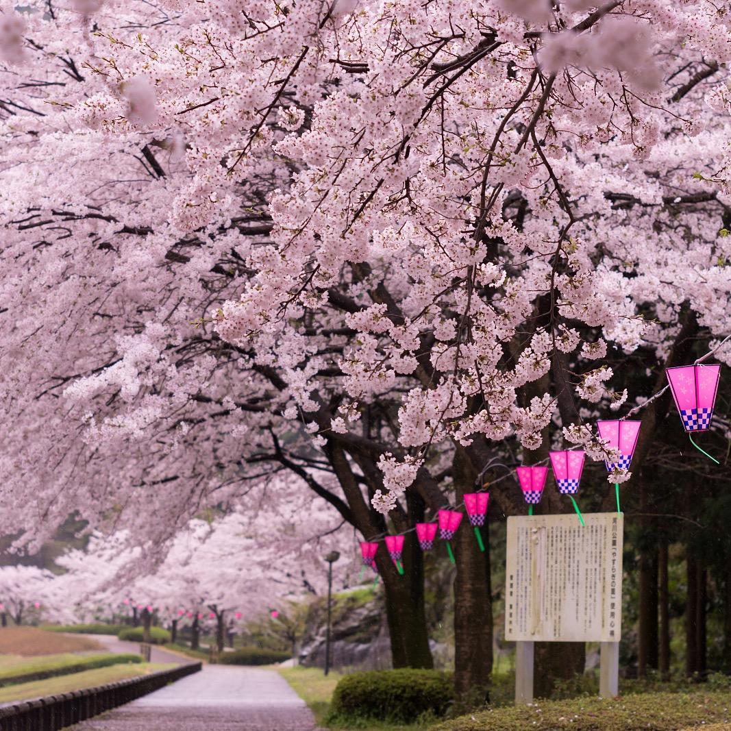 橘子老师教剪辑