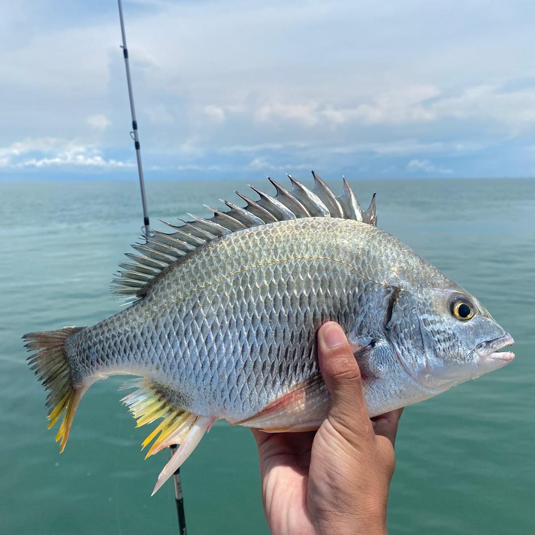 小学当过班长，