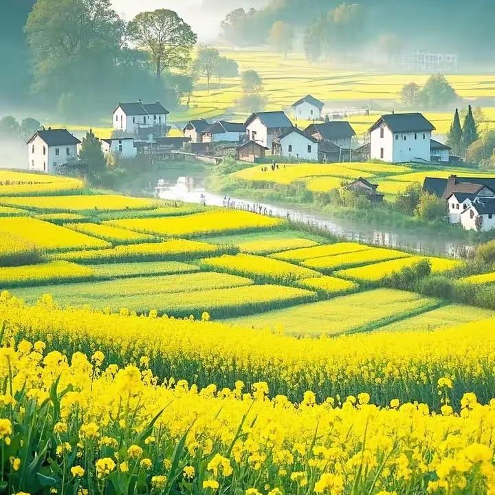 情歌在北京