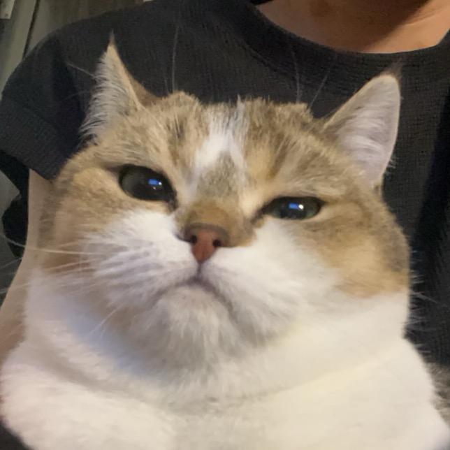 王者荣耀奇迹（露露大王）