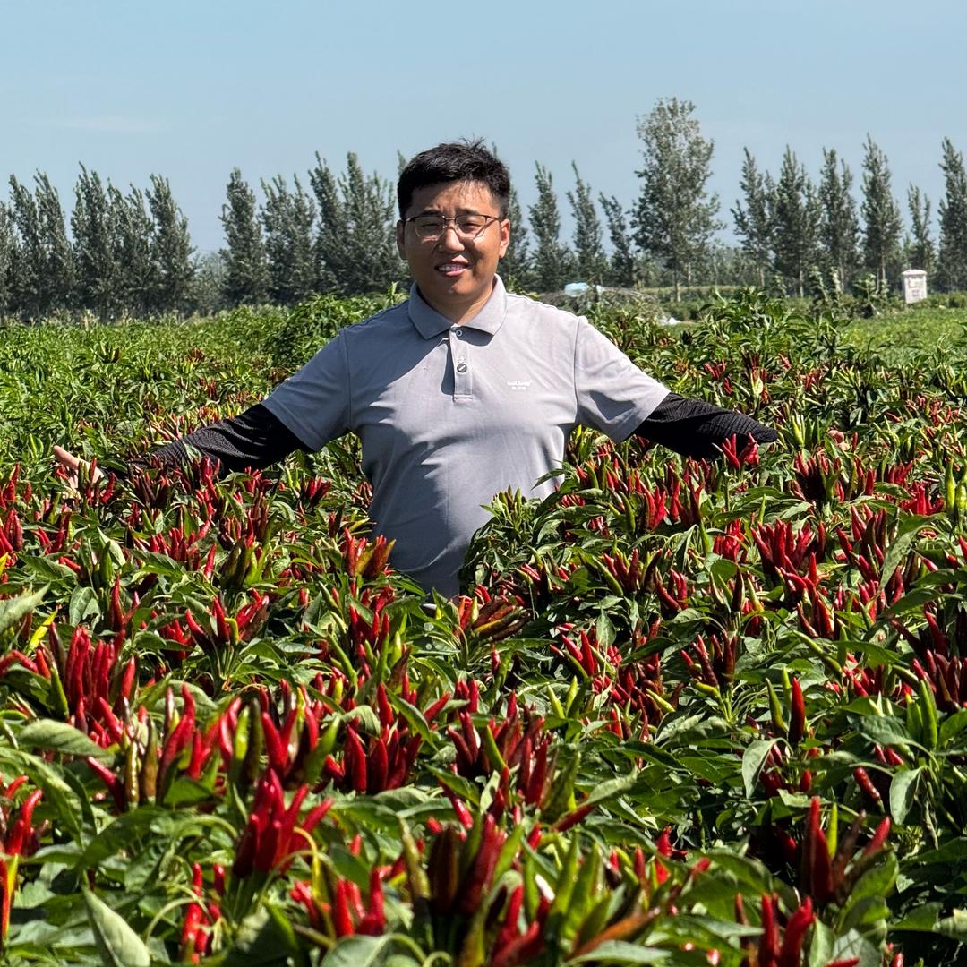 椒个朋友-欧兰德