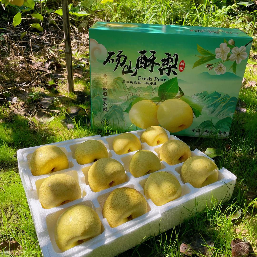 小宋家的砀山梨