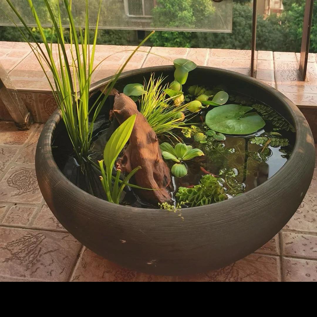 破局