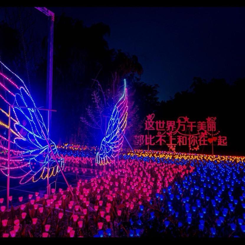 馨宝爱旅游