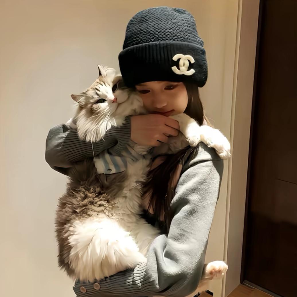 博博的杂货铺