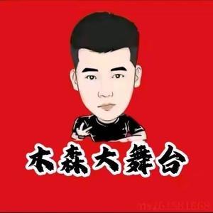 木森大舞台优选
