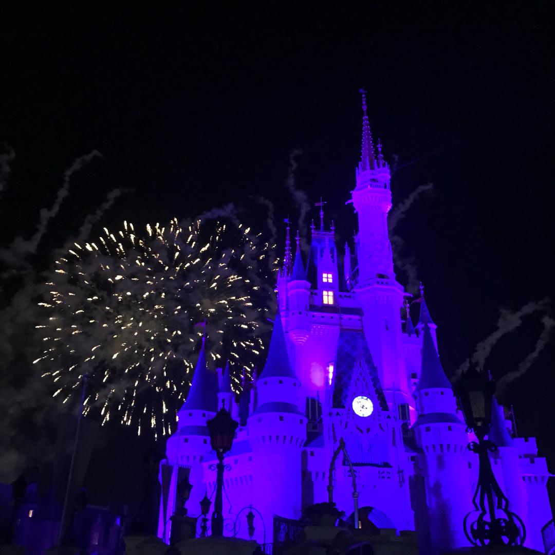 萝卜已失去灵魂