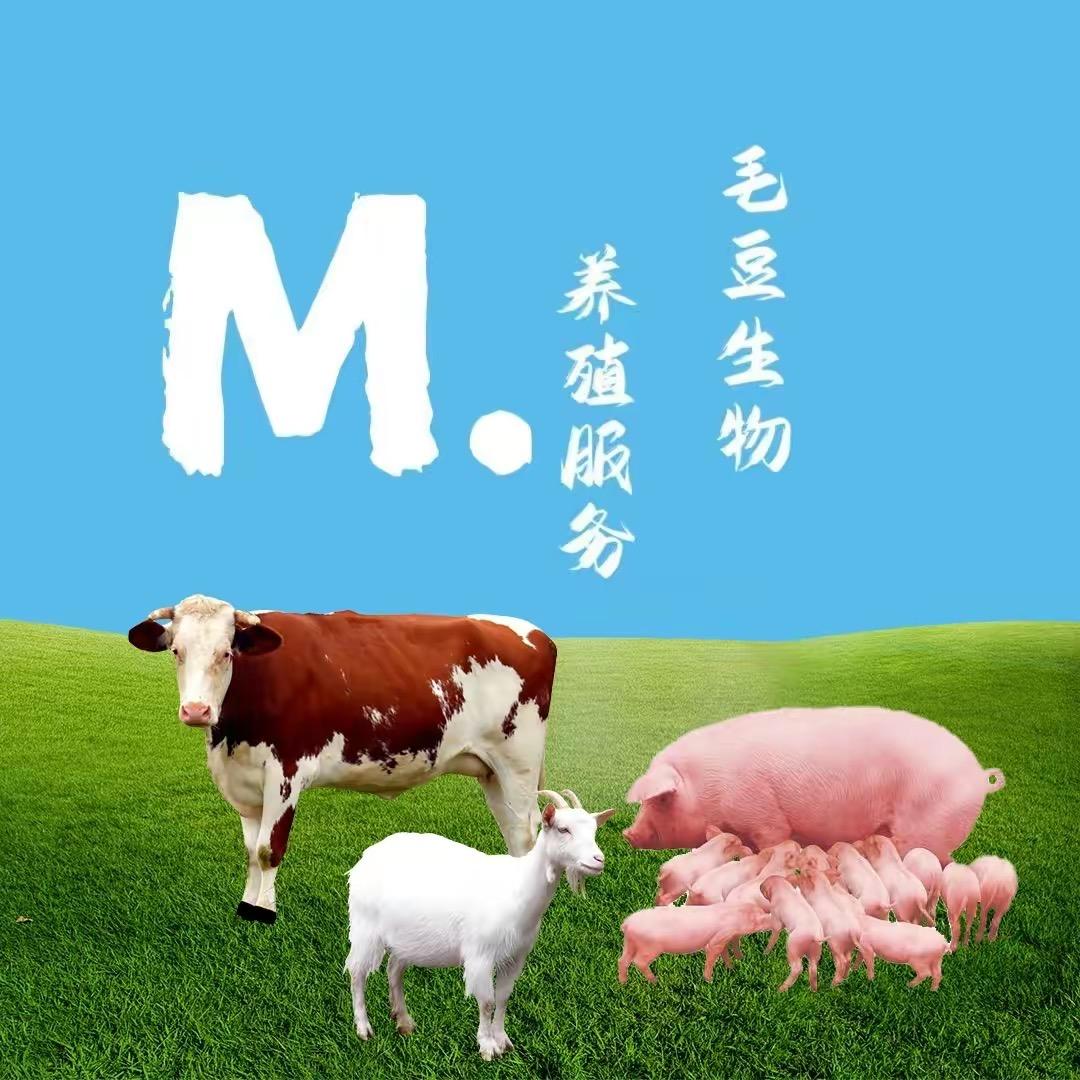 小毛豆饲料店