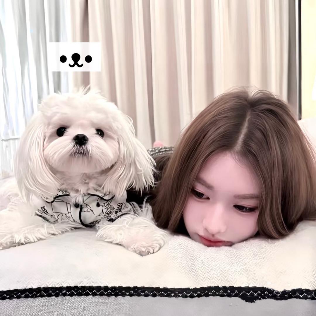 小盈盈