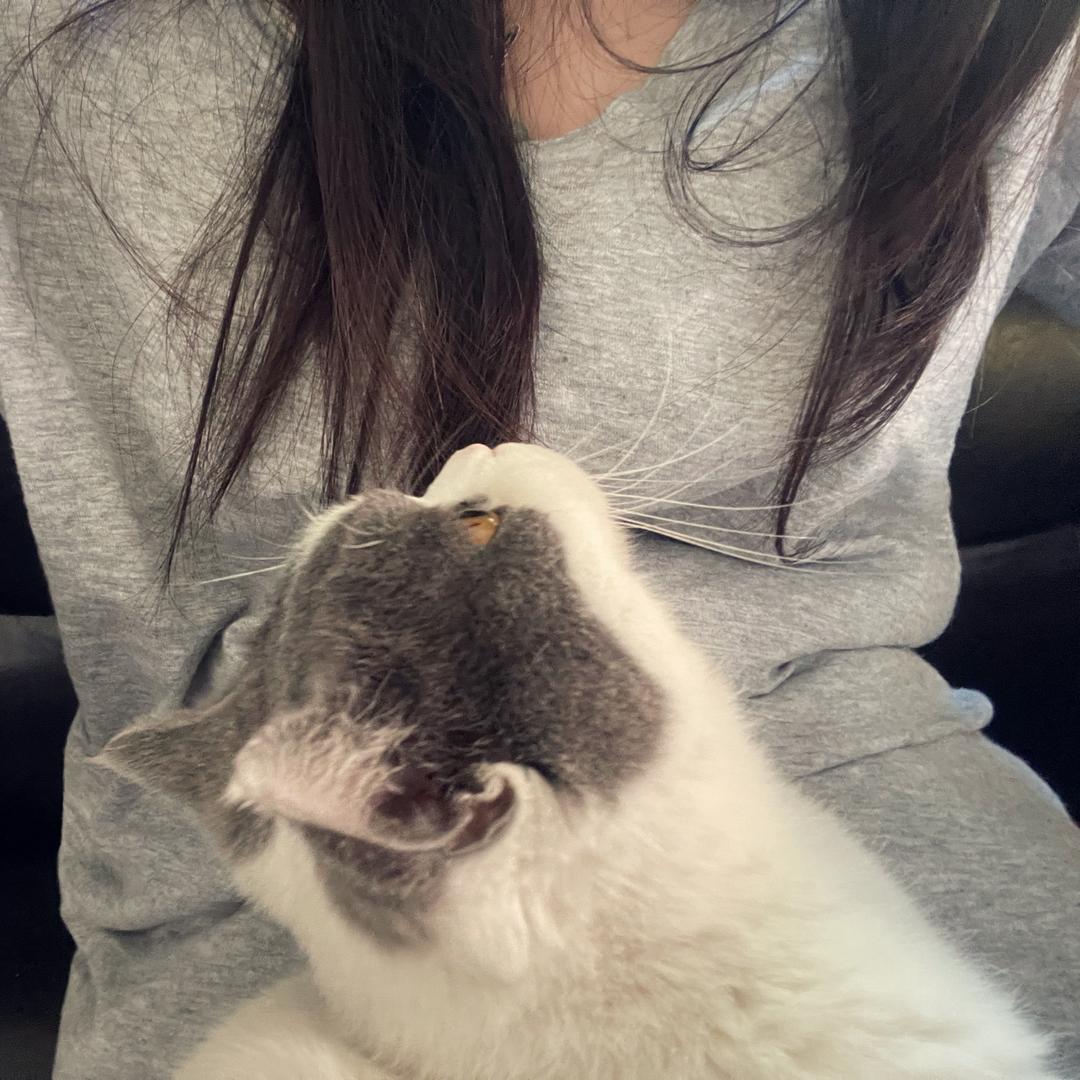 鸭梨橙