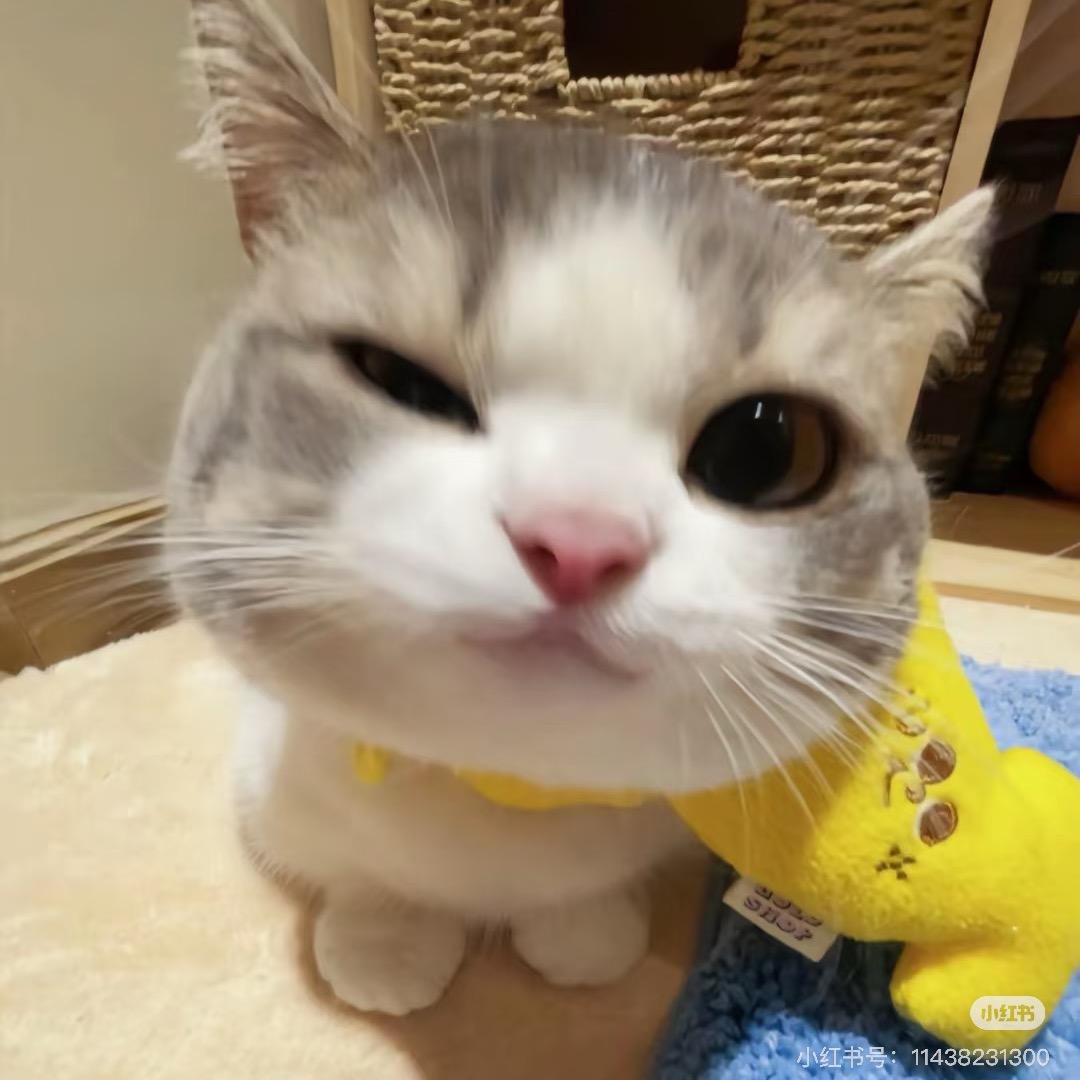 见手青青