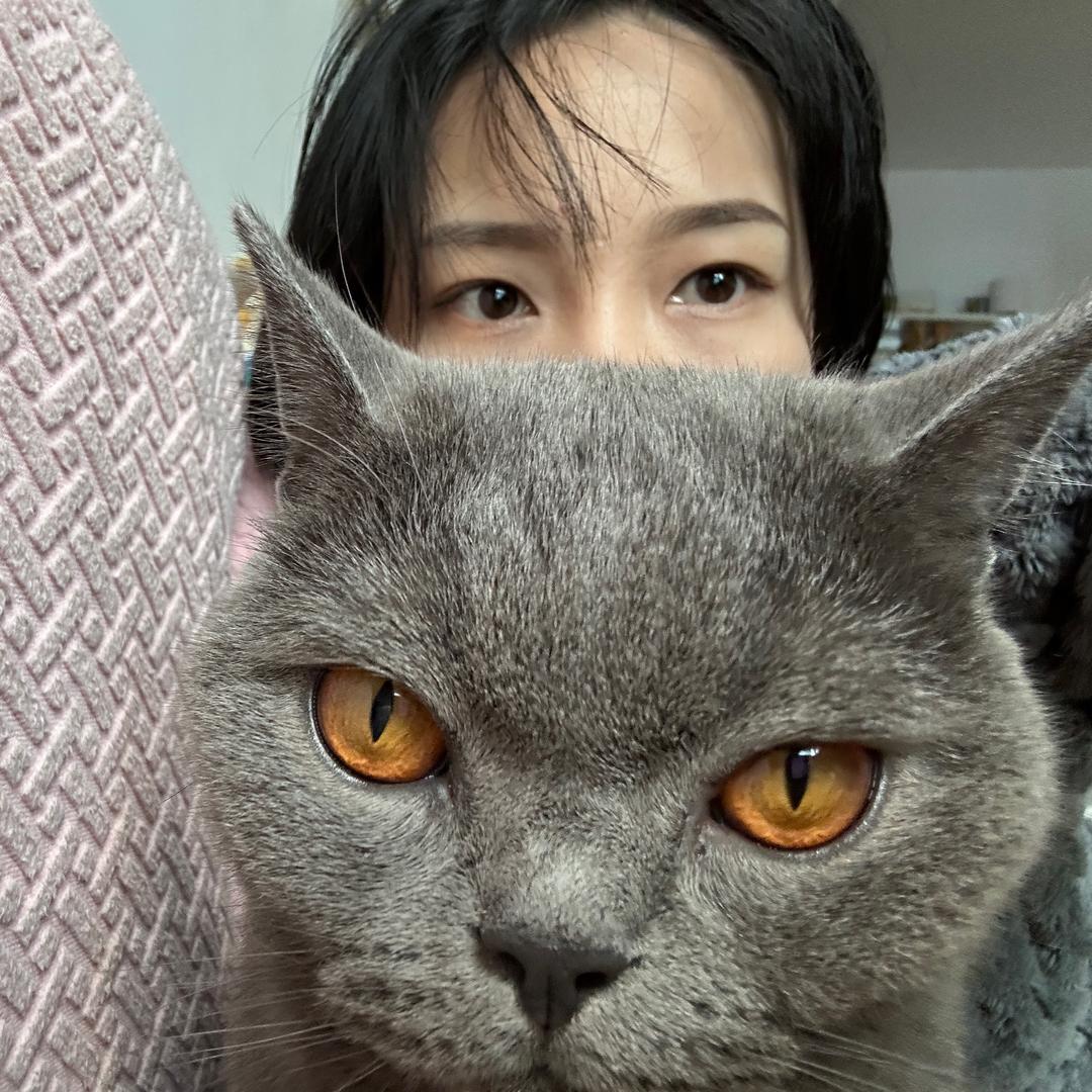 小羊小羊day day up