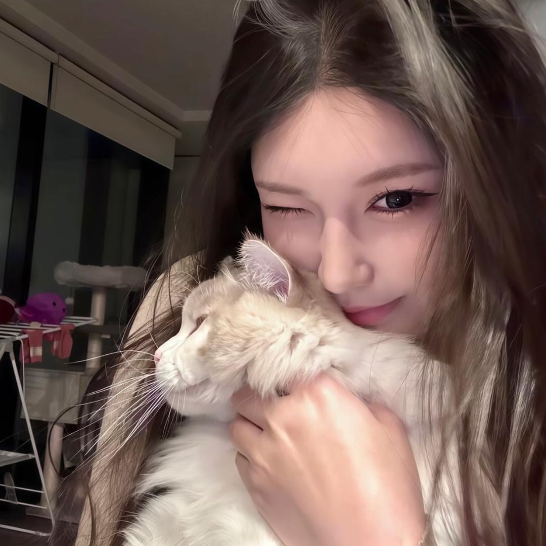 ㅤㅤㅤ