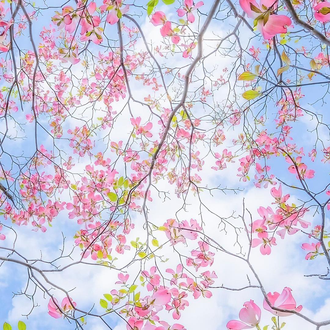 დ遇 见𓁋