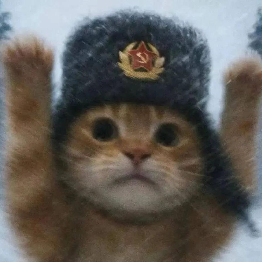 轻语