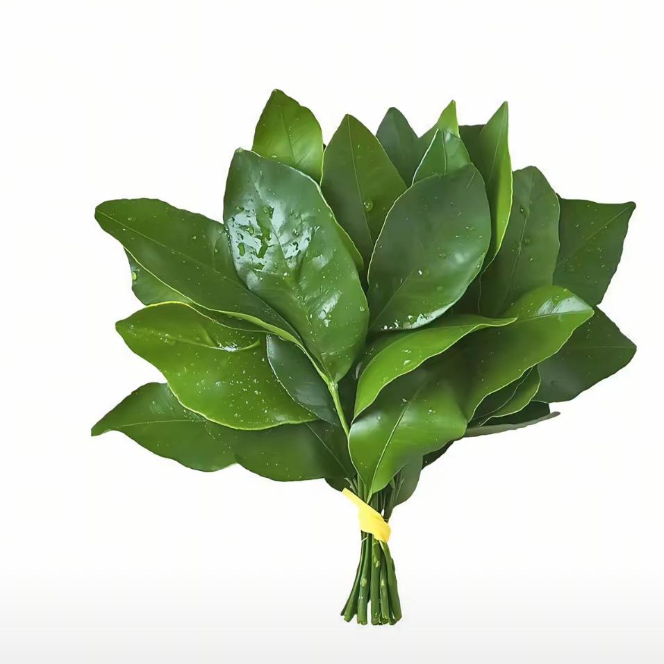 小闫