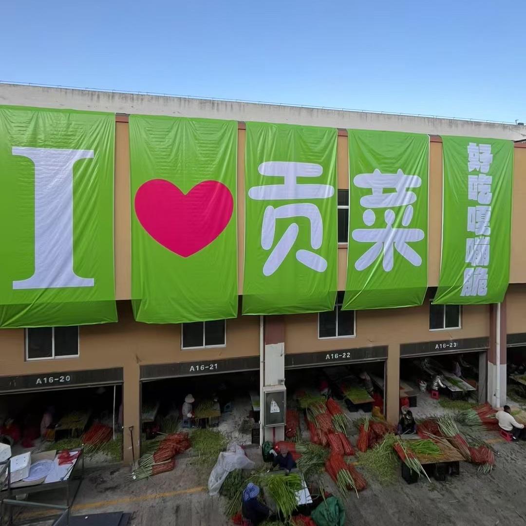 翡叶贡菜