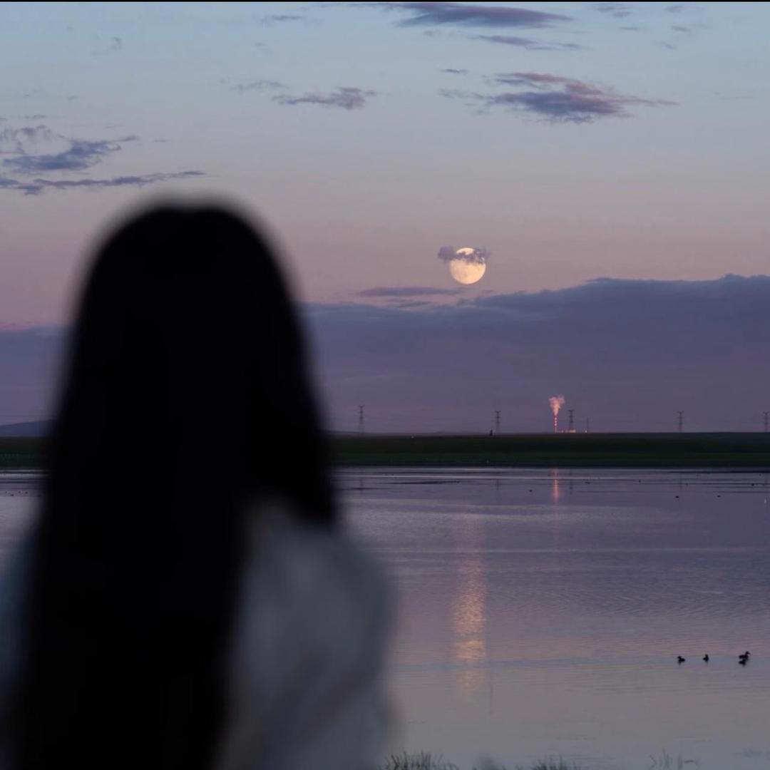 星邮治愈