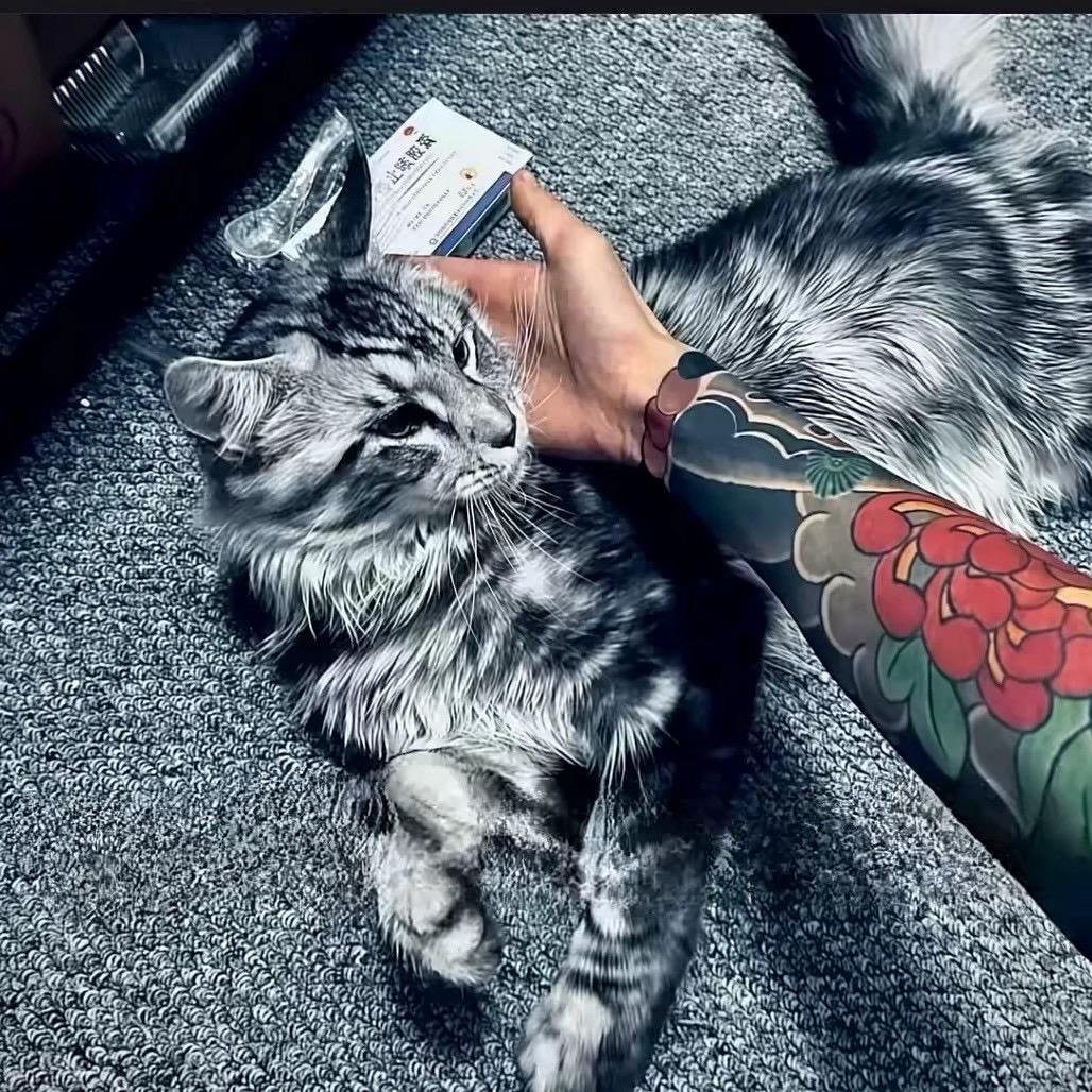 小普（不好整）