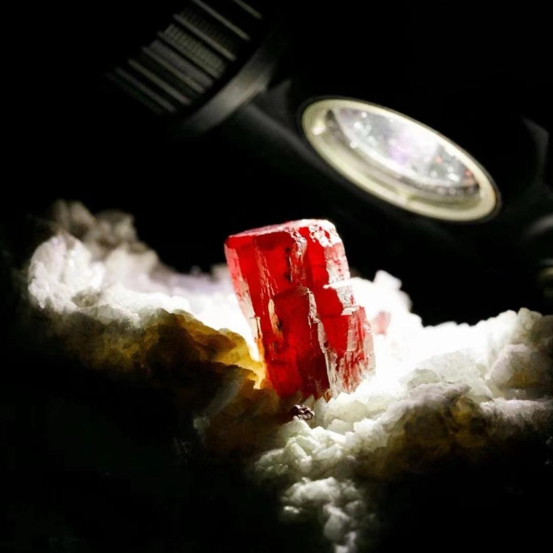 万山鸿乔朱砂二号