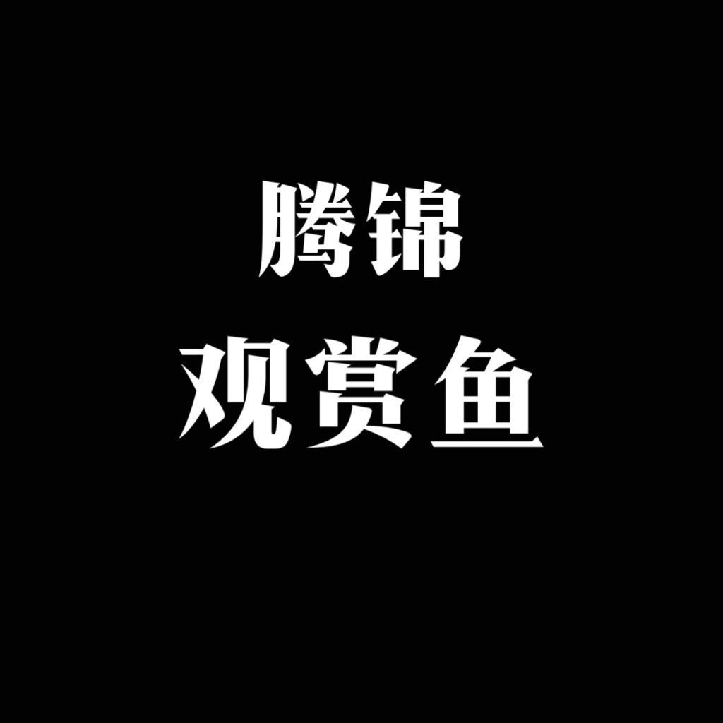 腾锦观赏鱼