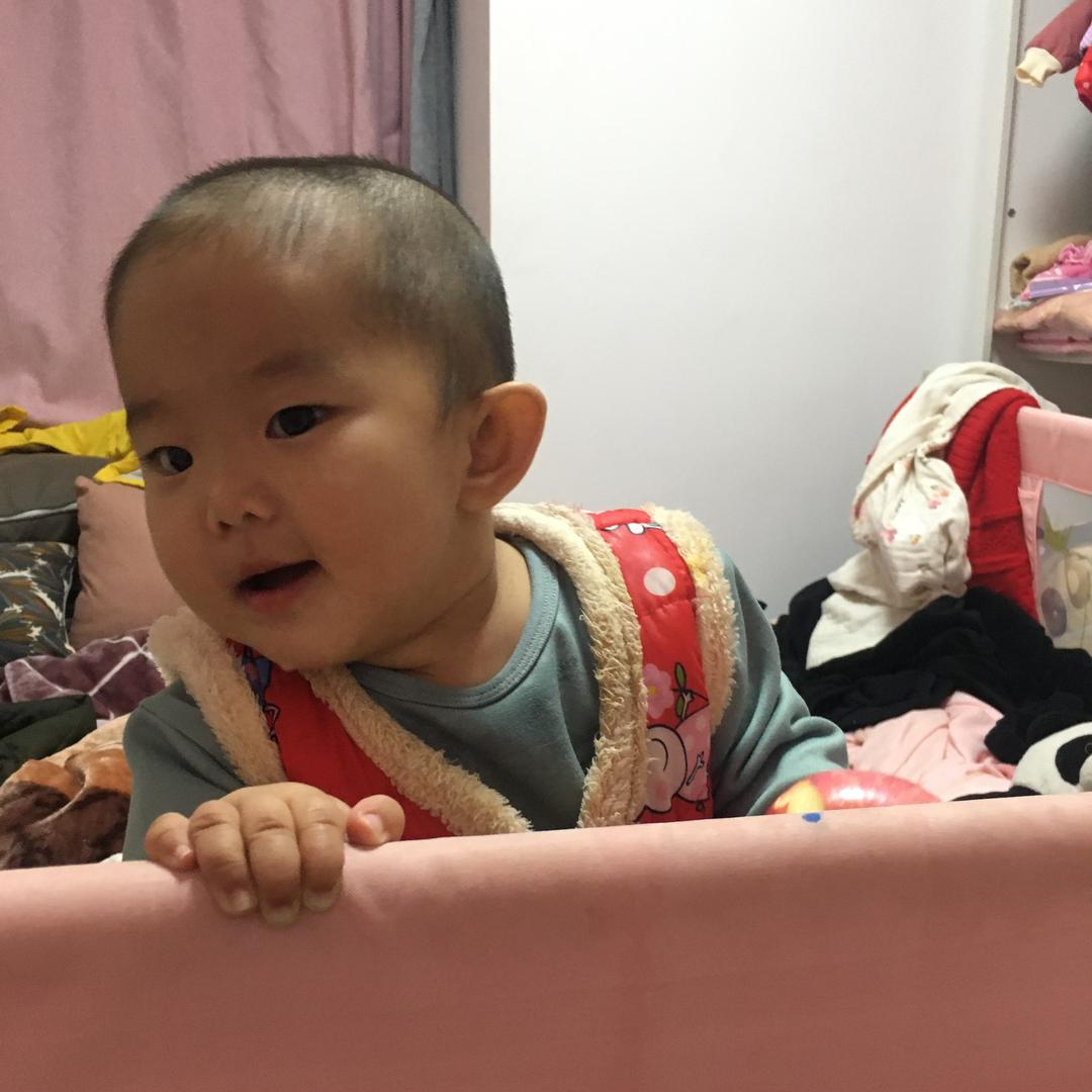 杉宝爸