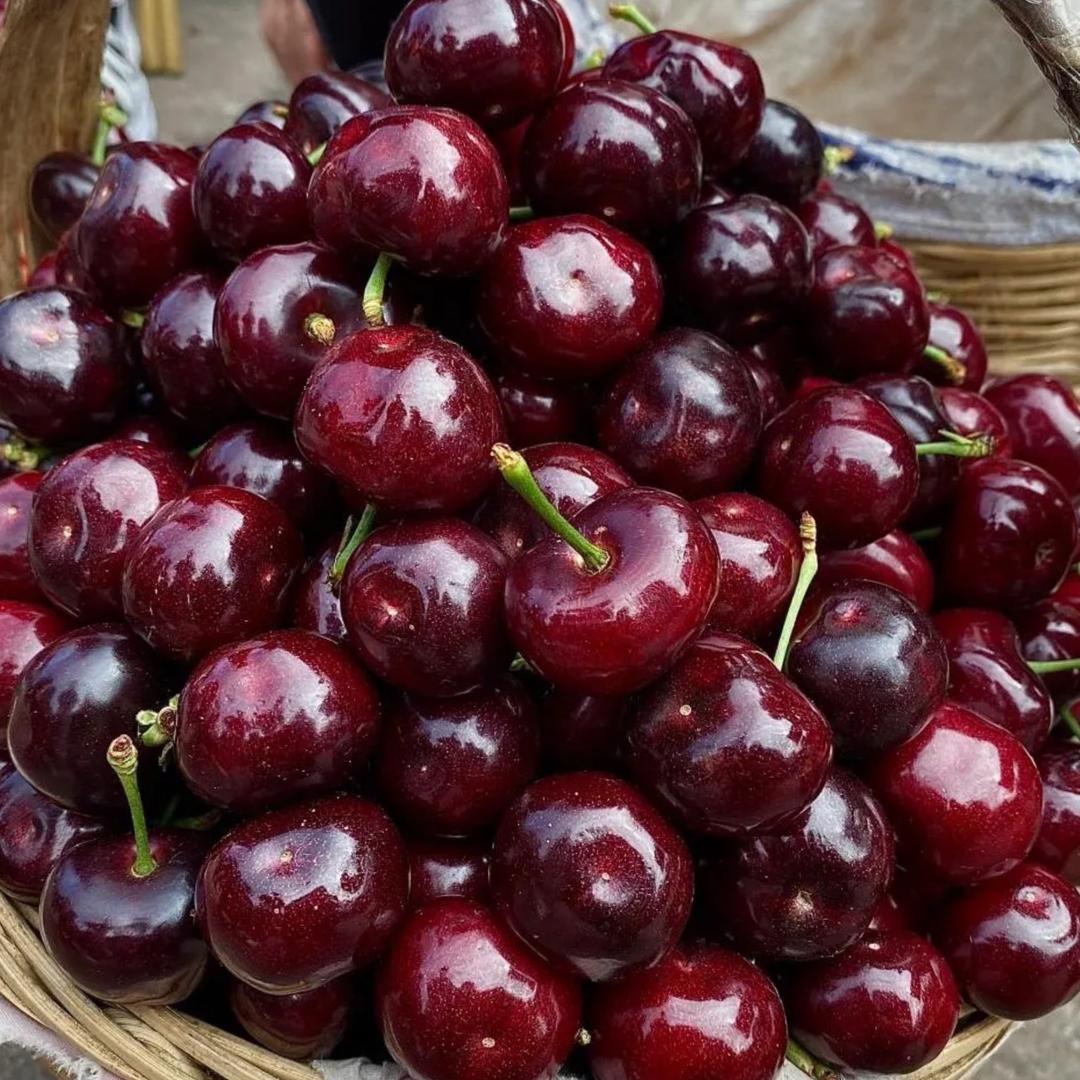 车厘子自由-琳琳