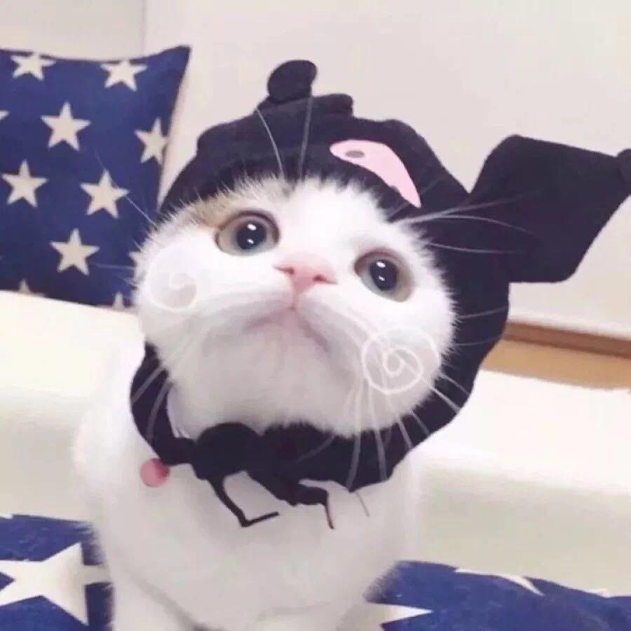 577
