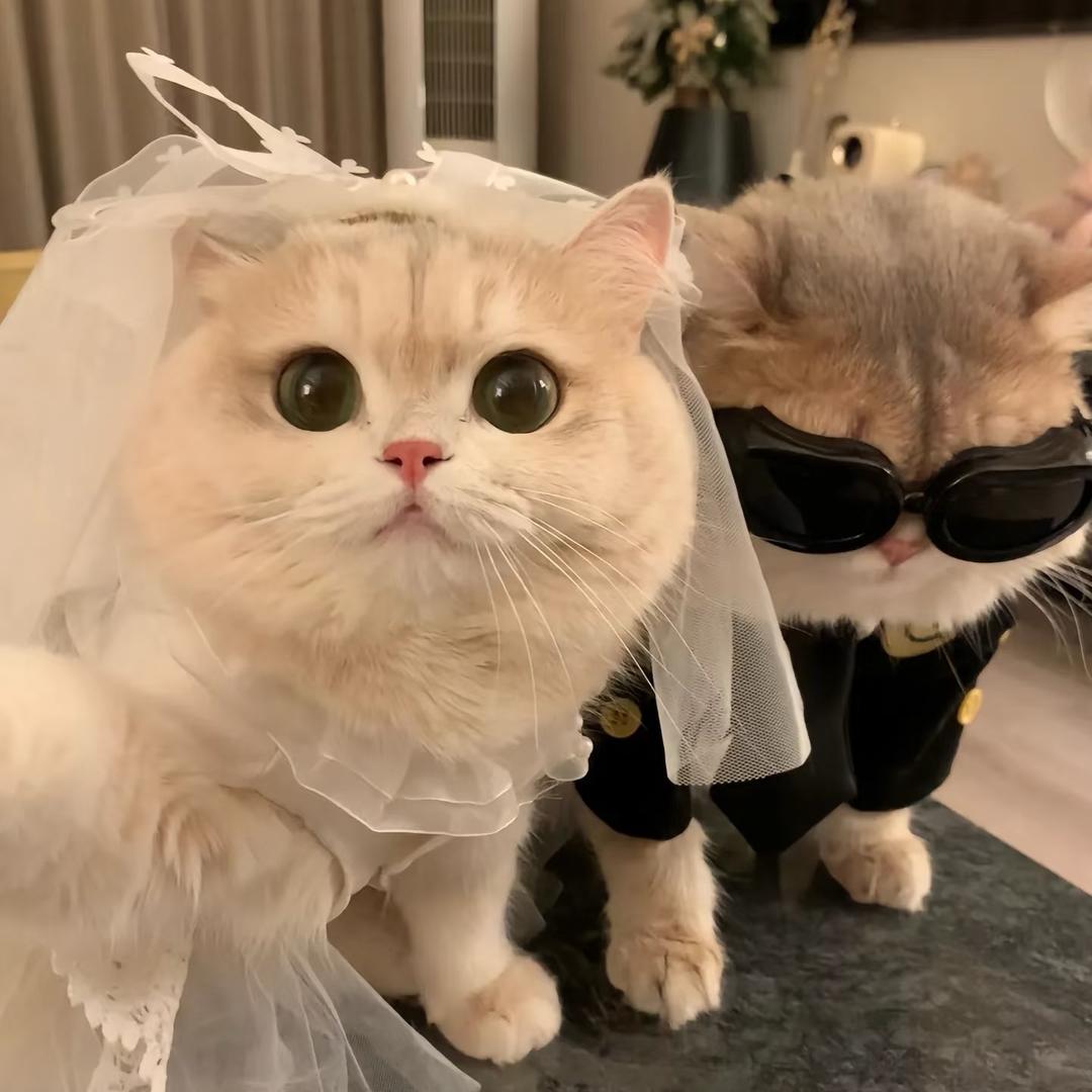 卖鱼的小女孩🐟