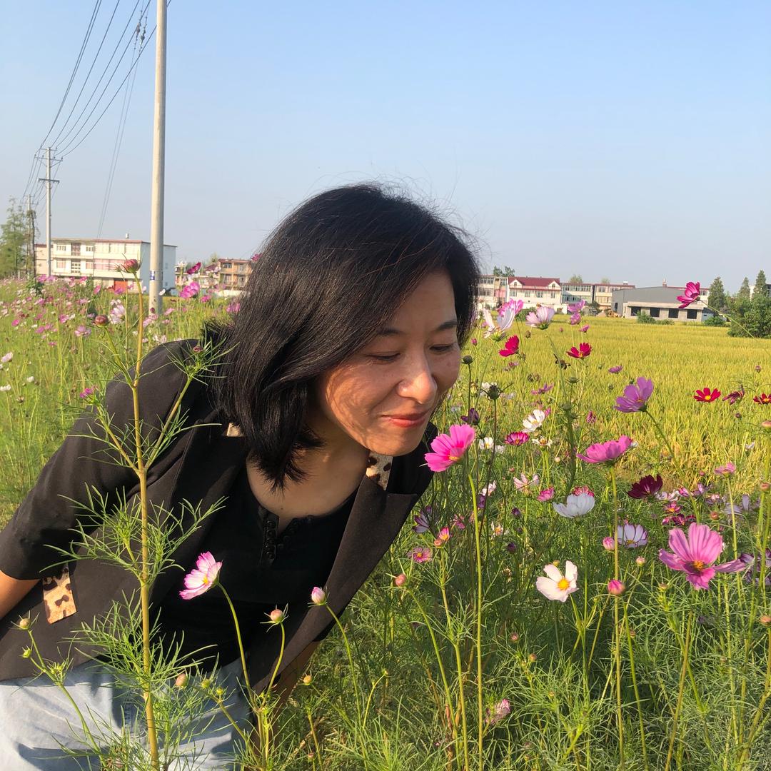 梅