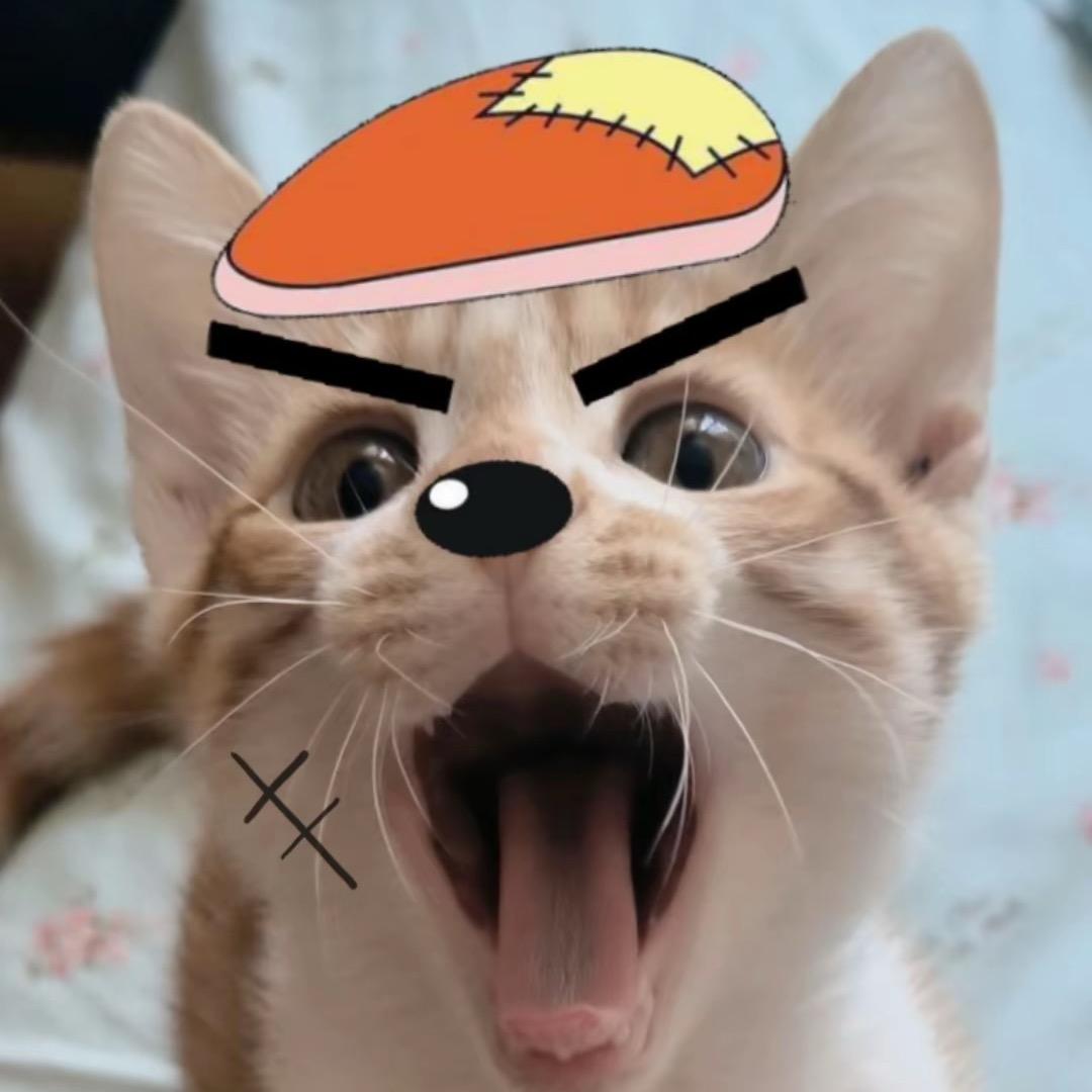 笑忘歌