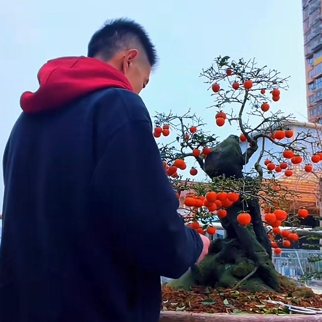 英雄6-绘梦乡村