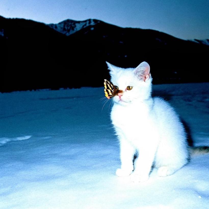 早上坏（2.0版）