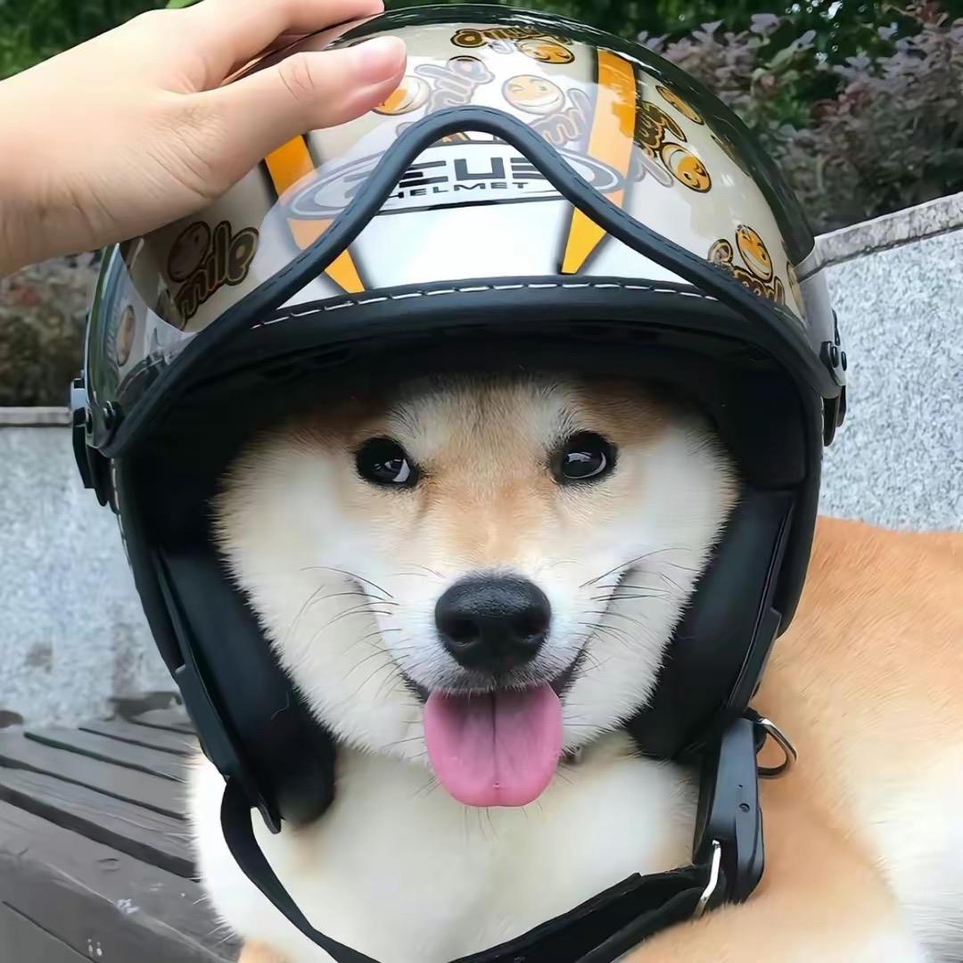 薯一薯二