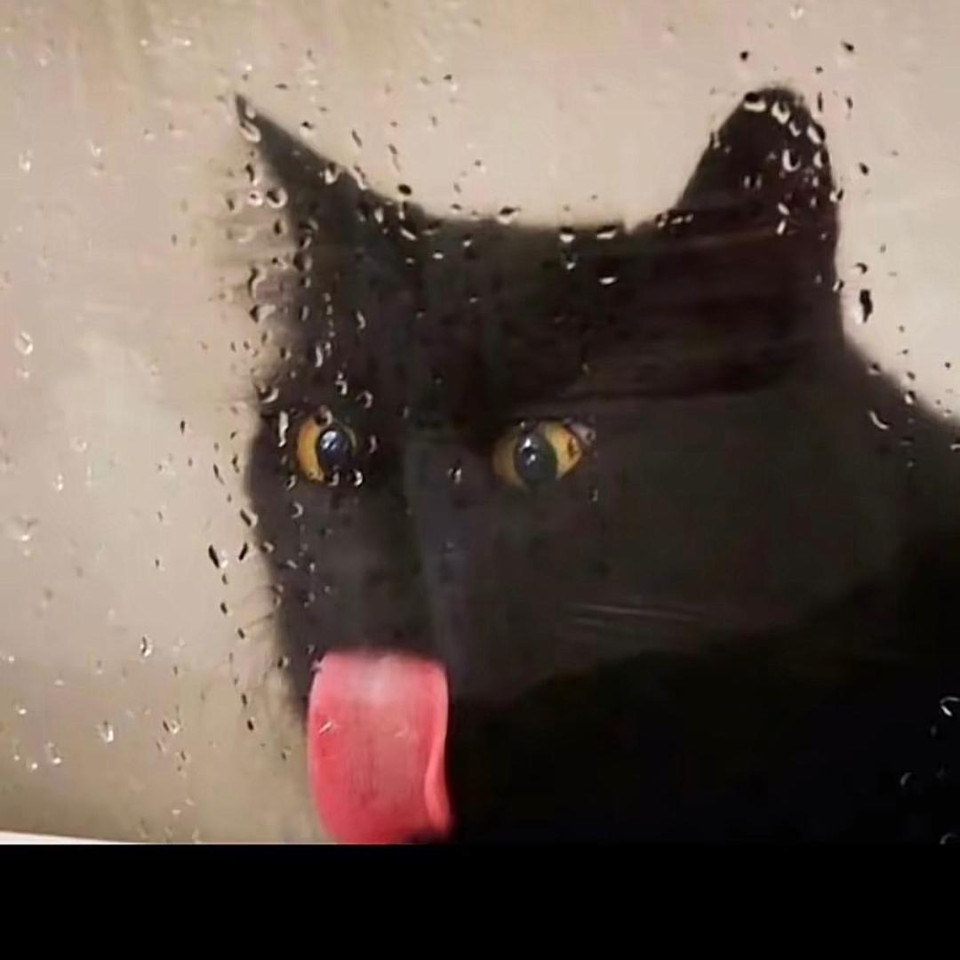 苏卡猹