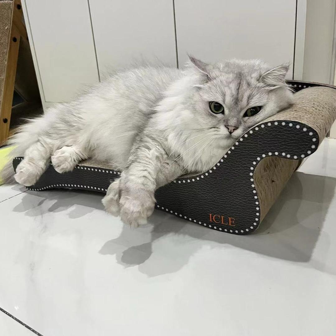 抖抖我的小肚子