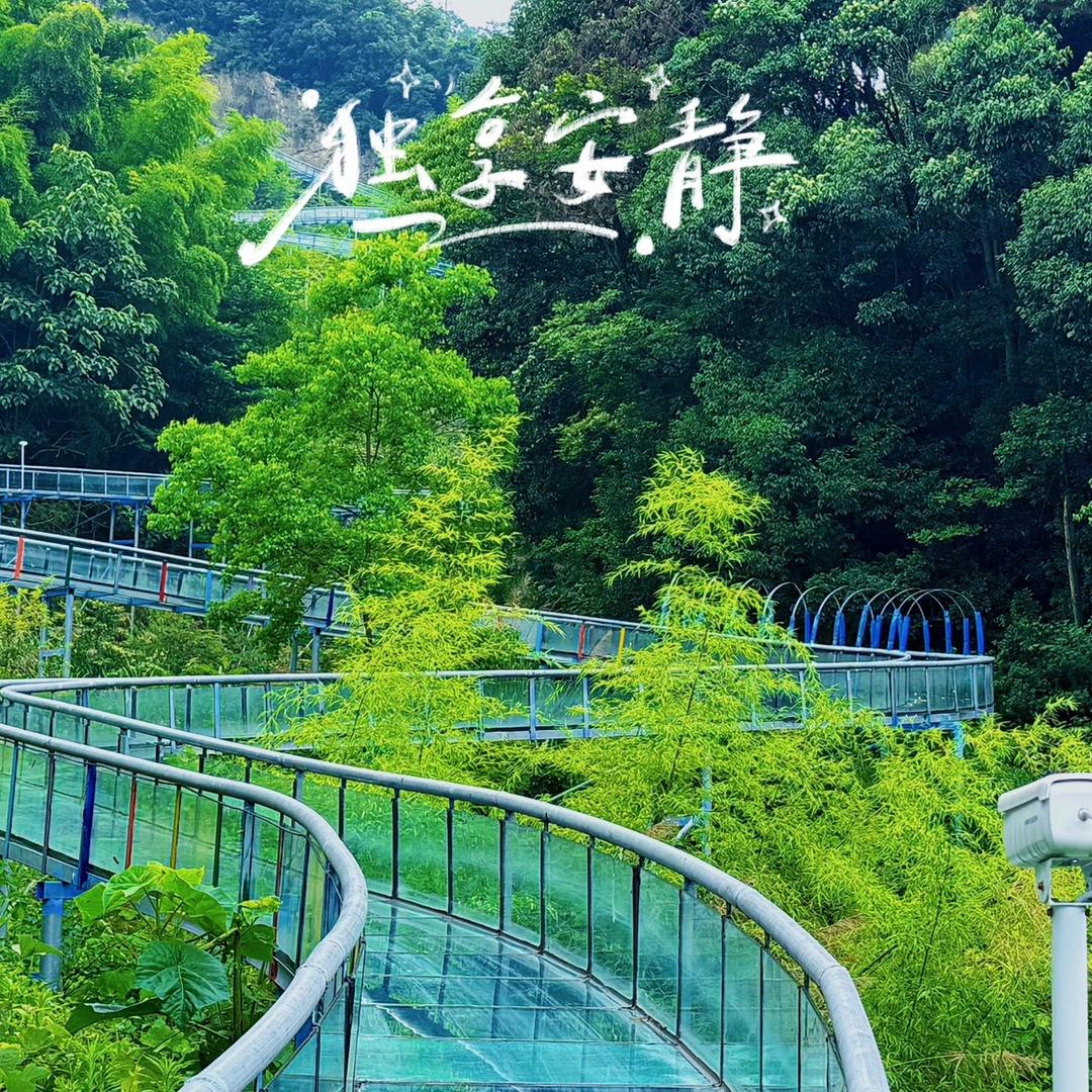 宇翔森林欢乐谷宠粉号