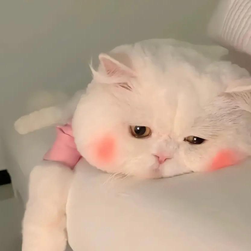 @许七安